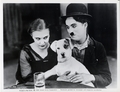 Dog_s_life_20_new_print_thumb