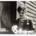 Sunnyside_61_square